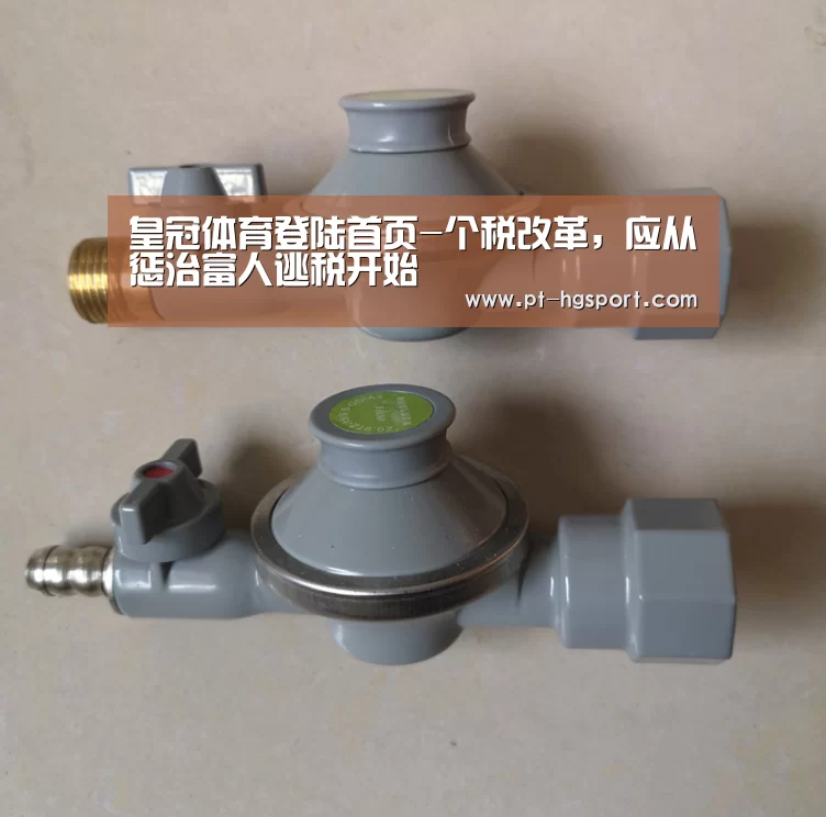 皇冠体育登陆首页-个税改革,应从惩治富人逃税开始(图2) 皇冠体育网址