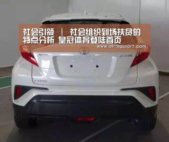 社会引领 | 社会组织到场扶贫的特点分析_皇冠体育登陆首页(图4) 皇冠赛事
