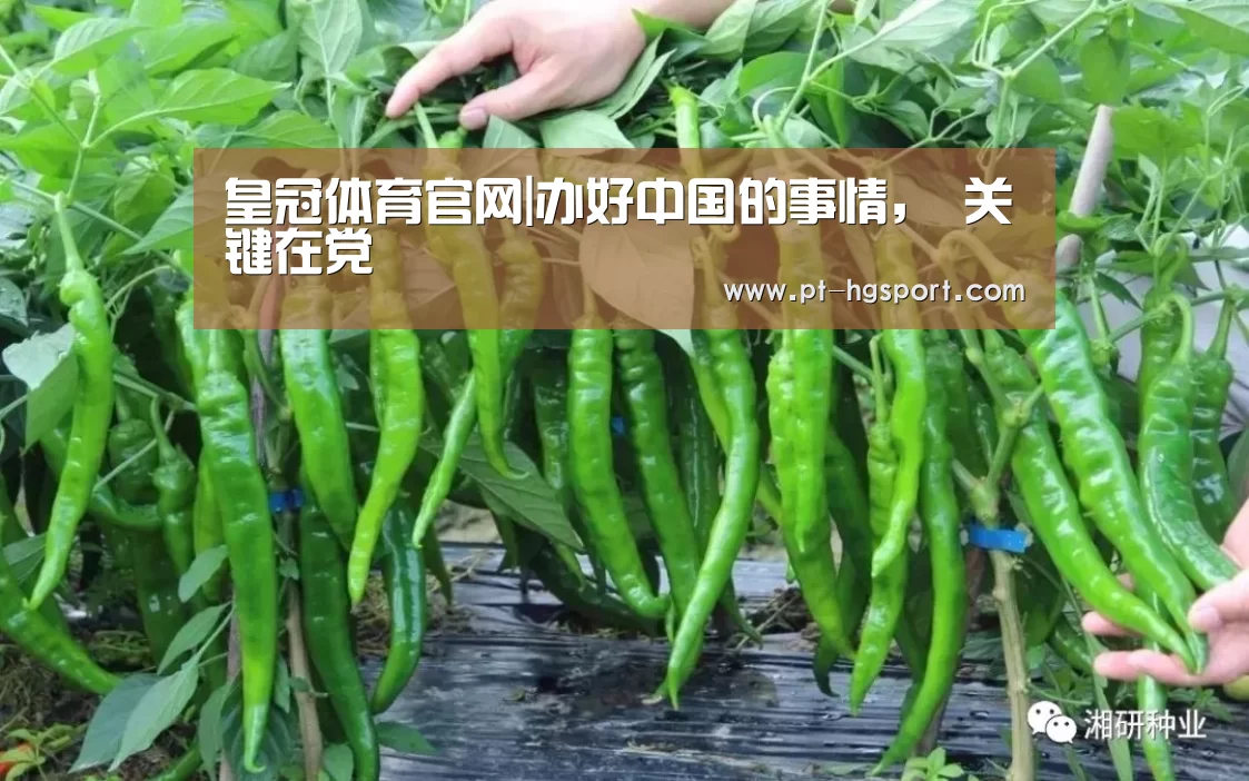 皇冠体育官网|办好中国的事情, 关键在党(图1) 皇冠体育网址