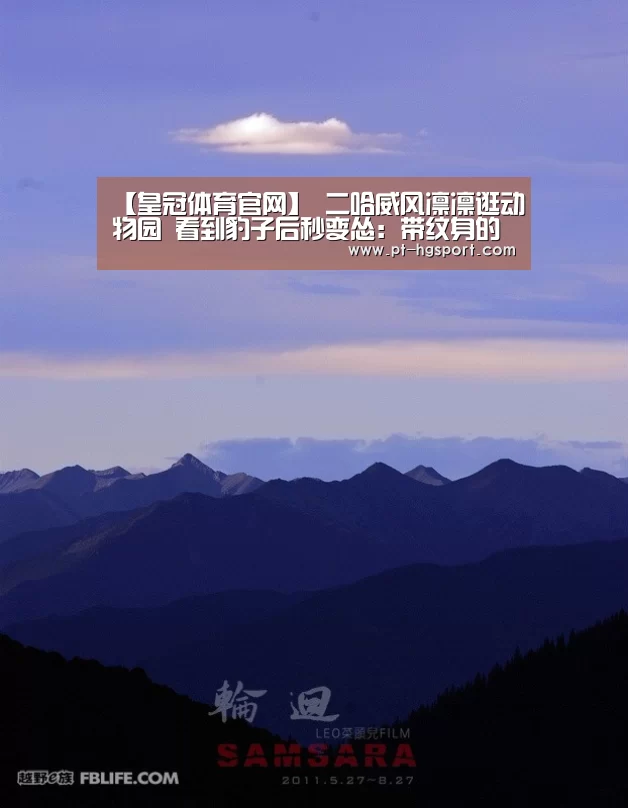 皇冠体育官网