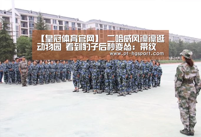 皇冠体育登陆首页