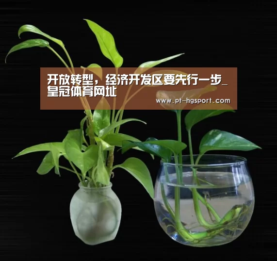 开放转型,经济开发区要先行一步_皇冠体育网址(图1) 皇冠赛事